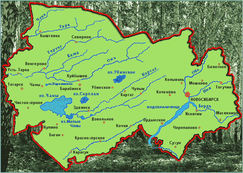 Новосибирск местоположение. Карта Новосибирской области с населенными пунктами. Карта НСО Новосибирской области реки. Карта рек Новосибирской области. Географическая карта Новосибирской области.